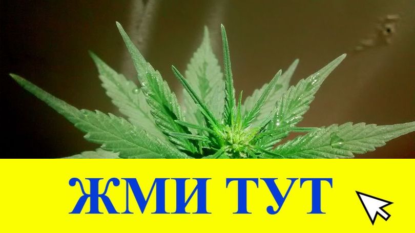 Купить наркотики в Кушве